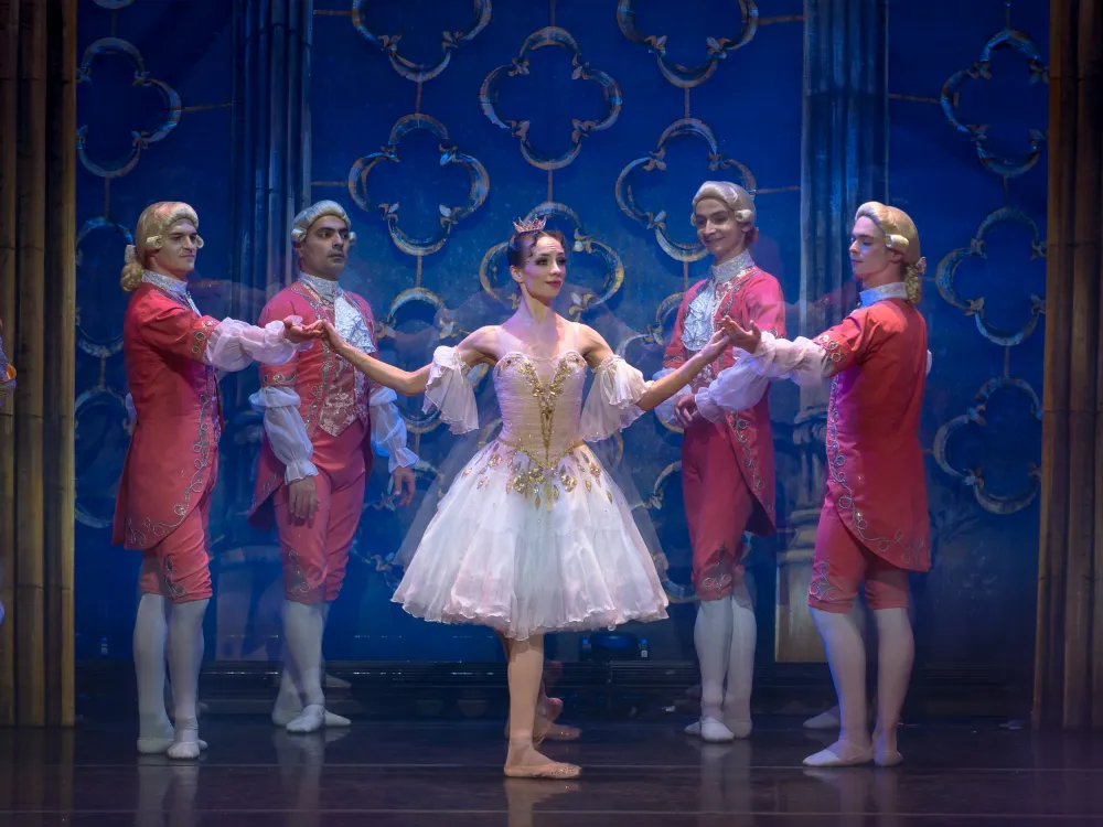 A cast of Cinderella characters