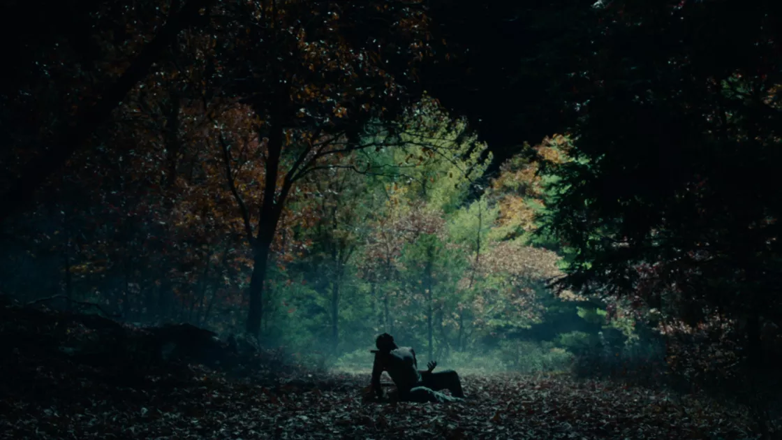 A dancer sits in the middle of a dark, densely wooded area, green and brown leaves and trees surround them. Dancer is seated with their backs to the camera, a patch of lightness streaming through the trees in the background.