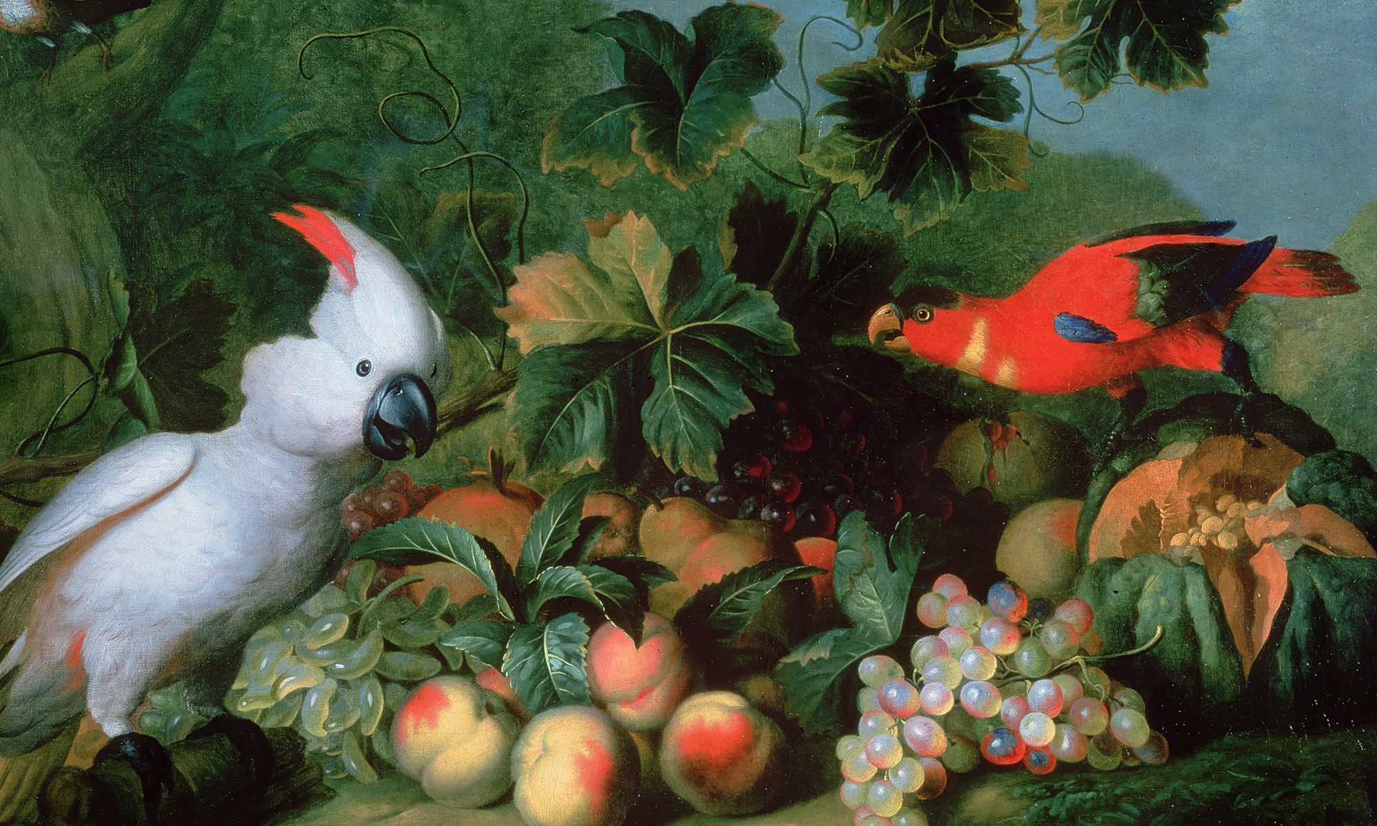 Image featuring colorful parrots, grapes and peaches on a green leafy background