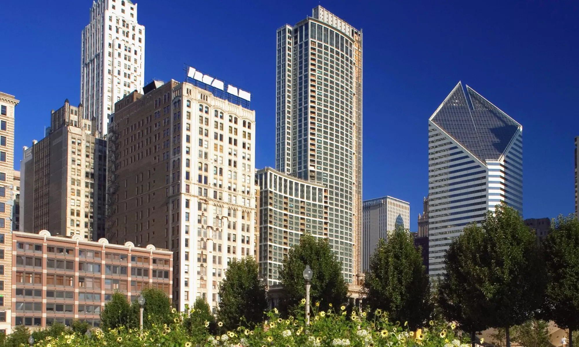 Image of Skyscrapers, buildings, and a park.