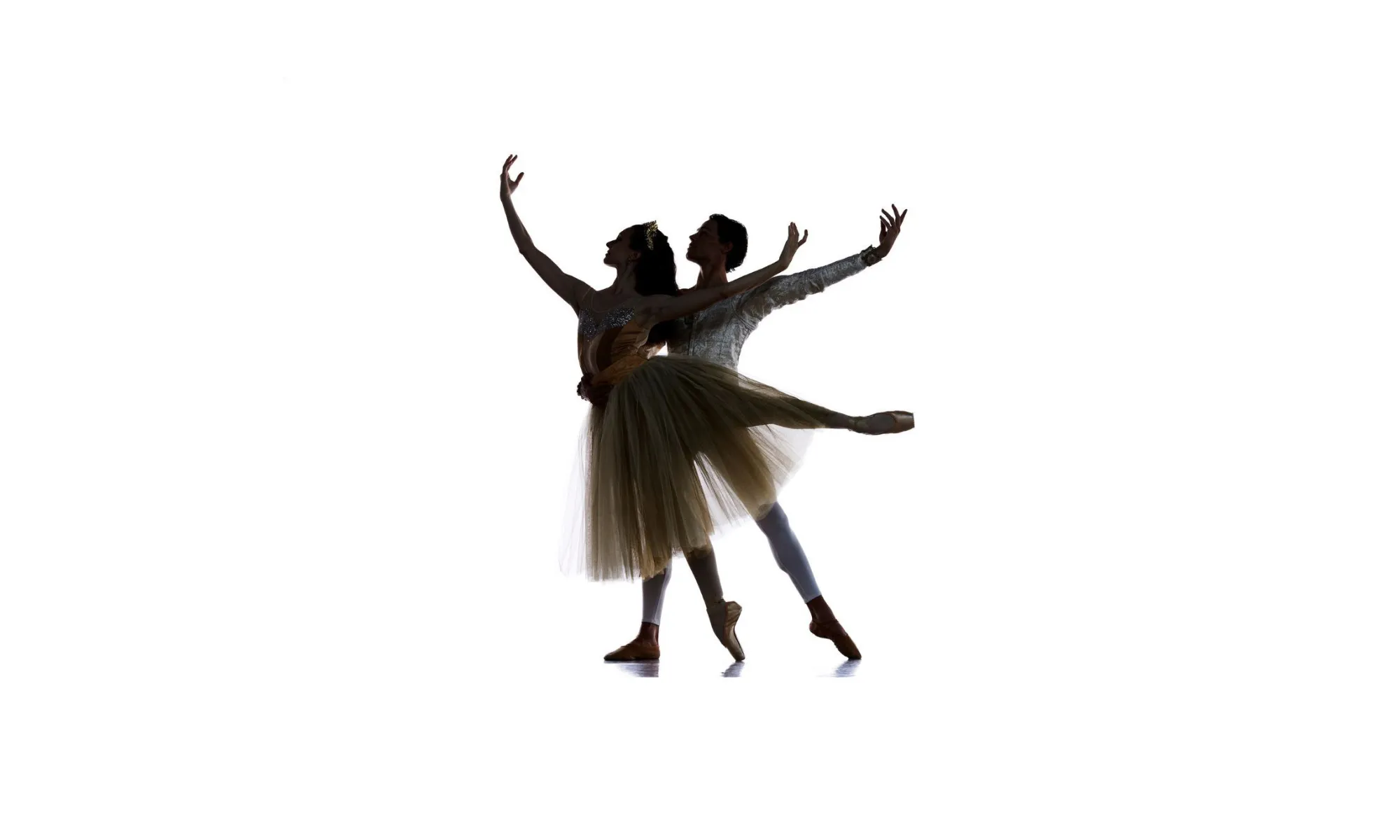 A ballerina and male dancer.