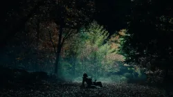 A dancer sits in the middle of a dark, densely wooded area, green and brown leaves and trees surround them. Dancer is seated with their backs to the camera, a patch of lightness streaming through the trees in the background.