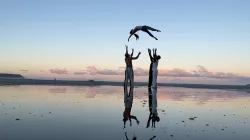 Four dancers throwing another dancer in the air.
