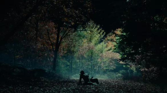 A dancer sits in the middle of a dark, densely wooded area, green and brown leaves and trees surround them. Dancer is seated with their backs to the camera, a patch of lightness streaming through the trees in the background.