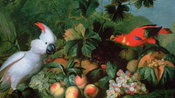 Image featuring colorful parrots, grapes and peaches on a green leafy background